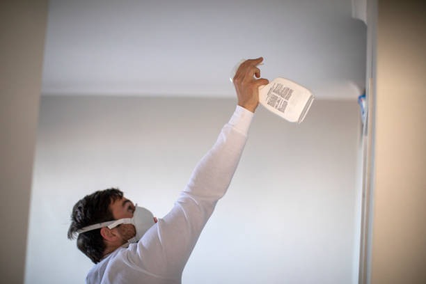 Best Office Mold Removal Services  in Florissant, MO