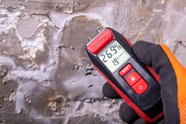 Best Mold Testing  in Florissant, MO