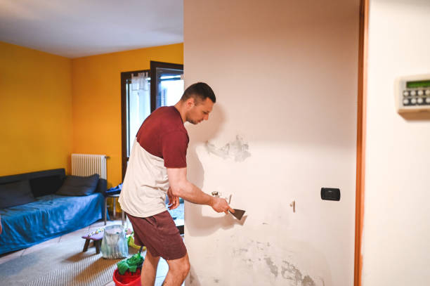 Best Water Damage Restoration  in Florissant, MO
